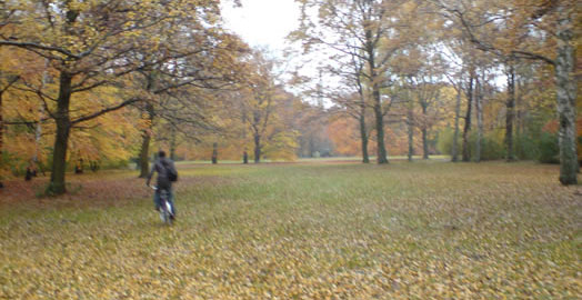 Field Trip to Berlin