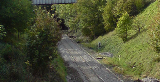 Derive and Shelter